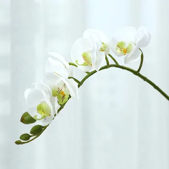 2 ks Simulácia Kvet Pocit Phalaenopsis Falošné Kvetinové Dekorácie, Svadobné Domov Umelého Hodvábu Kvetov Orchideí, Fotografovanie Rekvizity