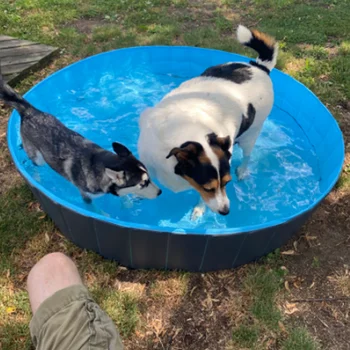 skladacie psa bazény, vonkajší bazén pre veľké malých zvierat